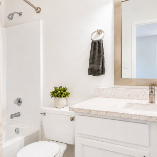 Cambridge-Apartments-raleigh-nc-apartment-Camelot-bathroom.webp